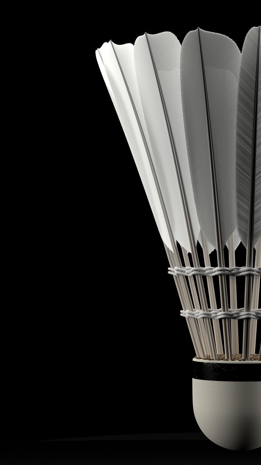 随着时间的 随着时间的